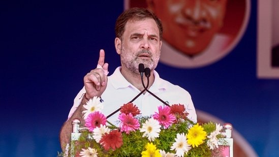 तमिलनाडु में राहुल गांधी| भारत समाचार